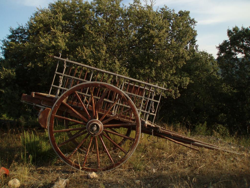 Masia De La Serra De La Cogulla Peñarroya de Tastavins エクステリア 写真
