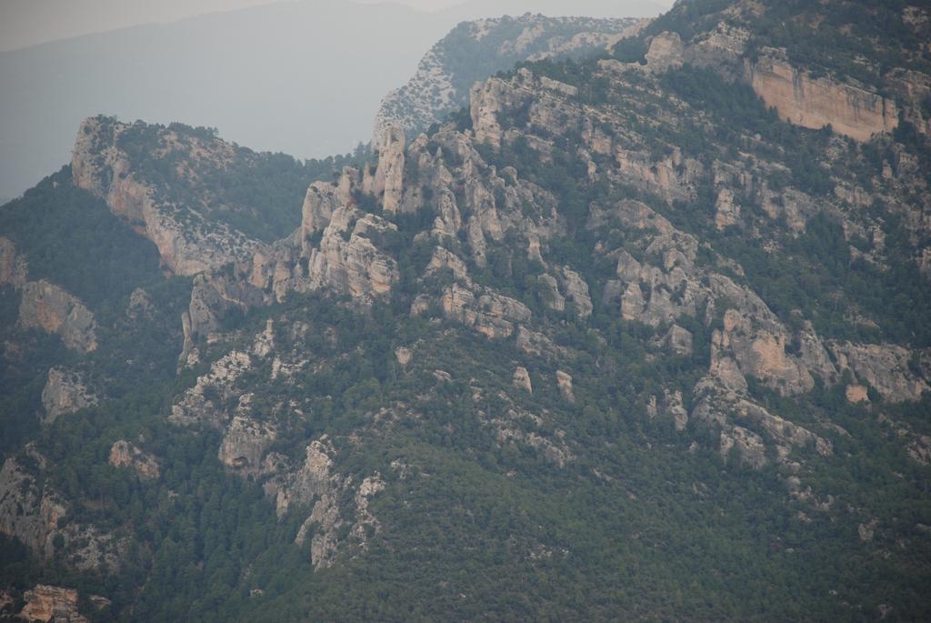 Masia De La Serra De La Cogulla Peñarroya de Tastavins エクステリア 写真